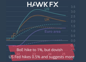 US Fed hikes 0.5% and suggests more Blog
