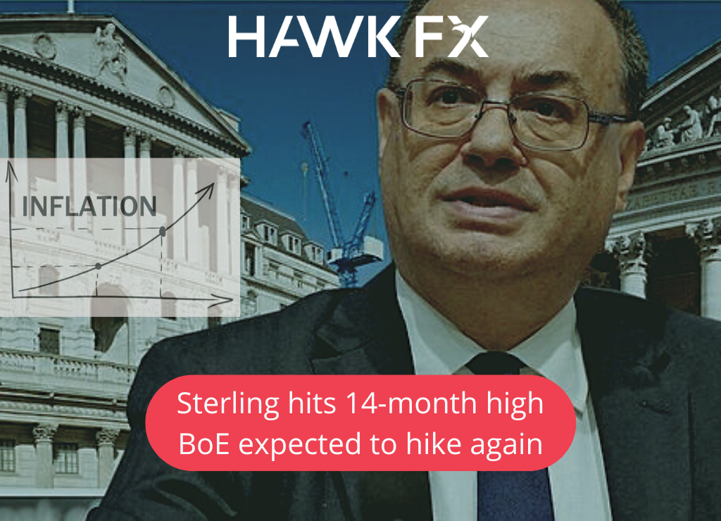 Sterling-hits-14-month-high-as-BoE-expected-to-hike-again-Blog